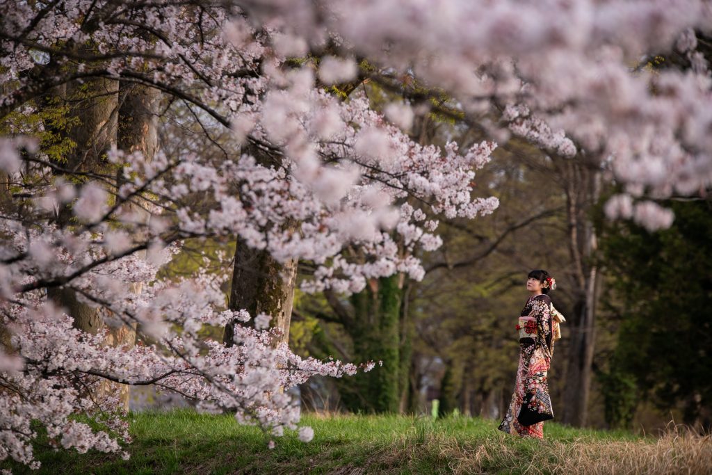 振袖前撮り・ロケーション撮影・信玄堤・桜