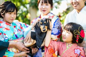 振袖ロケーション撮影　前撮り撮影　キングスウエル　犬　わんちゃん　ペット撮影