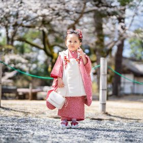 七五三ロケーション撮影・武田神社・3歳